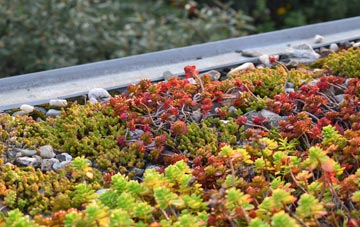 the cost of Badgers Mount green roof installation