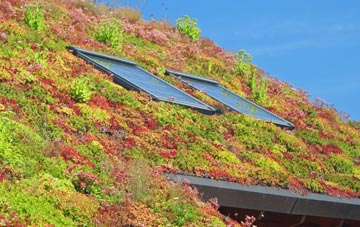 Badgers Mount living roof systems
