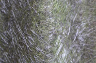 Badgers Mount fibreglass roof work